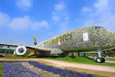 Pesawat Emirates dari Bunga di Dubai Miracle Garden