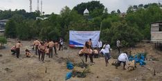 PIS Tanam 1.500 Mangrove di Batam untuk Jaga Ekosistem Laut