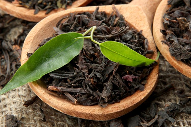 Ilustrasi teh, daun teh. 