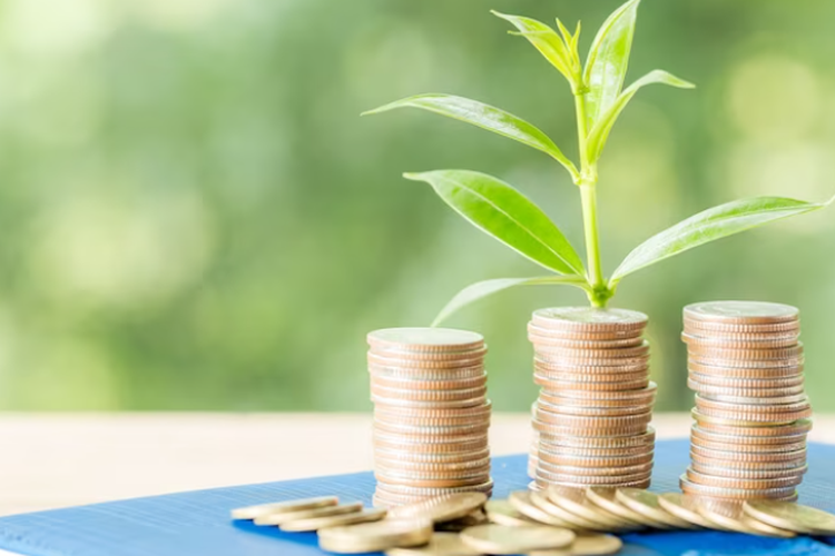 Ilustrasi investasi. Reksa dana. Reksa dana pasar uang. Reksadana pasar uang.