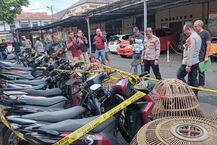 Belasan sepeda motor dan ayam jago diamankan oleh petugas, Minggu (18/6/2023). Kendaraan dan ayam menjadi barang bukti kasus judi sabung ayam di Kabupaten Ciamis, Jawa Barat.