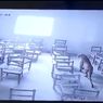 Warga India Heboh, Macan Tutul Masuk Sekolah dan Serang Seorang Siswa