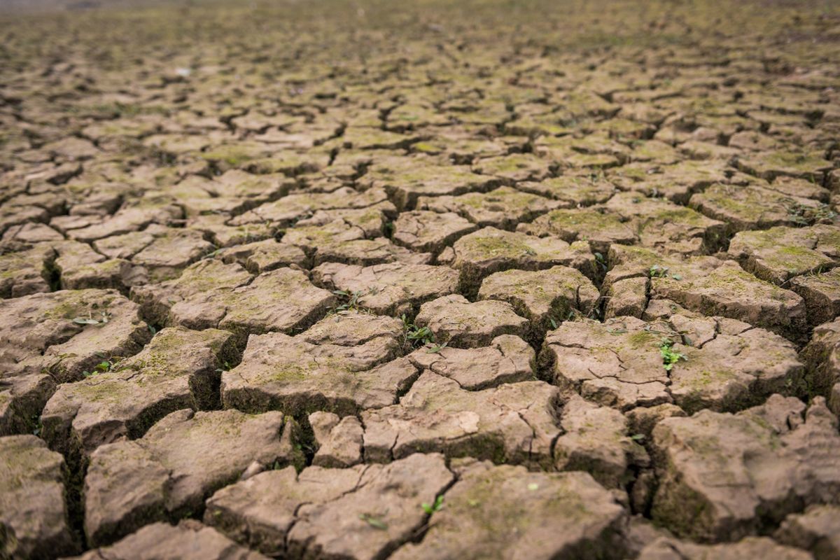 BPBD DKI Fokuskan Penanganan Air Bersih dan Mitigasi Hadapi Kemarau Panjang El Nino