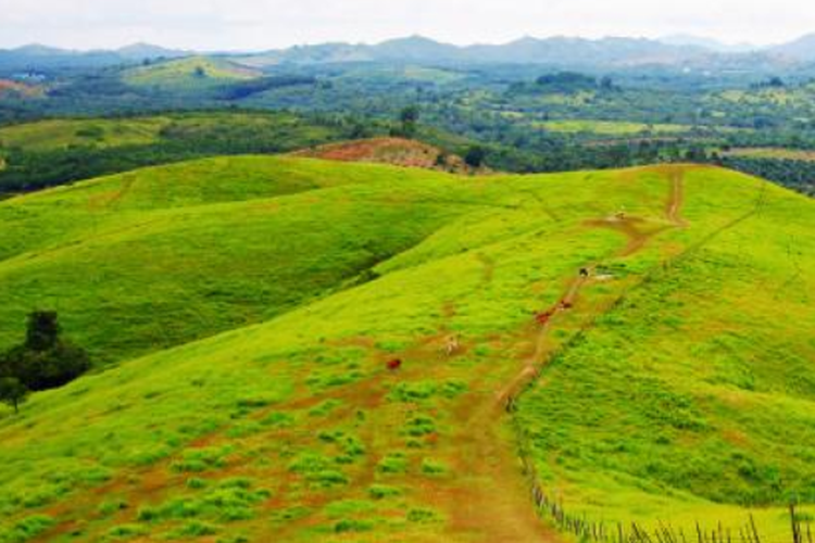 Bukit Rimpi, Kalimantan Selatan