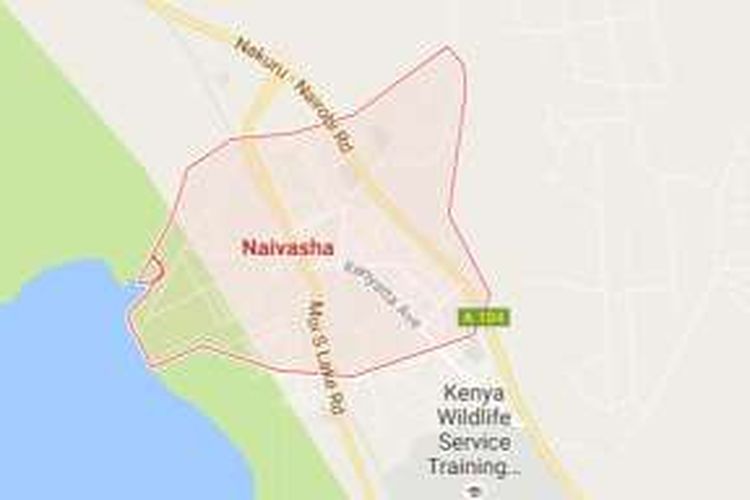 Kota Naivasha