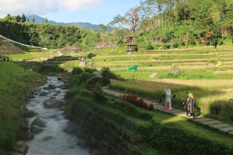 Sungai dan pesawahan jadi pemandangan sekaligus atraksi wisata yang bisa dinikmati wisatawan di Sahid Eminence Hotel Convention & Resort Ciloto, Puncak.