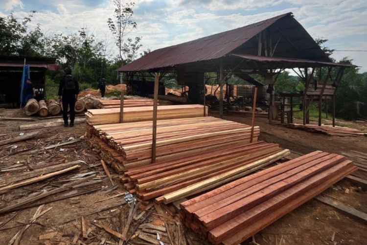 Pengolahan Kayu Ilegal Logging di Kampar Riau Digerebek, Mandor Jadi Tersangka