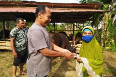 Fakta Nenek Penyapu Jalan Kurban Sapi dan Kambing, Menabung 15 Tahun dan Kumpulkan Rp 22,7 Juta