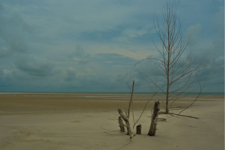 Pasir berbisik di Pulau Beting Aceh Riau