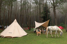 Harga dan Fasilitas Jungle Milk Lembang, Tempat Camping Bersama Kuda