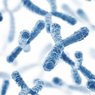 Kromosom Y yang Jadi Penentu Jenis Kelamin Pria Alami Penyusutan, Manusia Akan Punah?