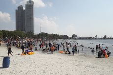 Pengunjung Ancol Tak Khawatir soal Buaya Muncul di Teluk Jakarta