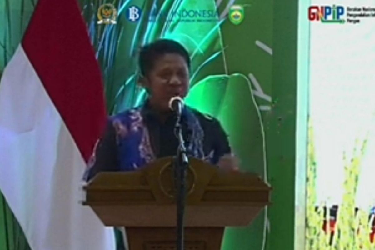 Gubernur Sumatera Selatan Herman Deru dalam acara Gerakan Nasional Pangendalian Inflasi Pangan Provinsi Sumatera Selatan yang disiarkan virtual, Jumat (24/2/2023).