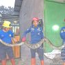 Ular Piton 3 Meter Mangsa Entok di Sragen, Dievakuasi Petugas Damkar