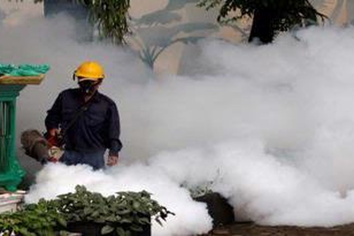 Pengasapan diyakini kurang maksimal untuk memberantas nyamuk yang membawa virus demam berdarah dengue (DBD).