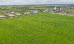 Pemprov Kalteng: Food Estate Bukan Program Kaleng-kaleng, Dampaknya Besar Bagi Kesejahteraan Petani