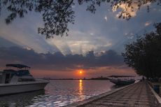 8 Pantai Semarang dan Sekitarnya, Ada Pantai dengan Hutan Mangrove