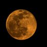 Cara Menyaksikan Fenomena Supermoon Emas 5 November 2025