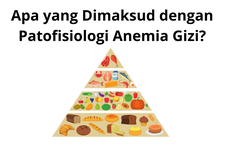 Apa yang Dimaksud dengan Patofisiologi Anemia Gizi?