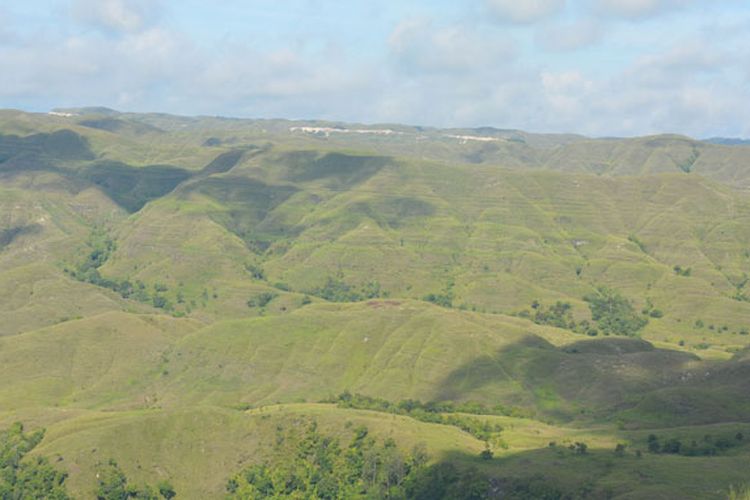 Hamparan padang savana di Kabupaten Sumba Timur, Nusa Tenggara Timur yang berbukit-bukit memberikan keunikan tersendiri mengenai keindahan alam di Pulau Sumba, Sabtu (25/3/2017). Padang savana ini menjadi tempat berwisata dan berselfie bagi wisatawan asing dan Nusantara yang berkunjung ke Pulau Sumba.