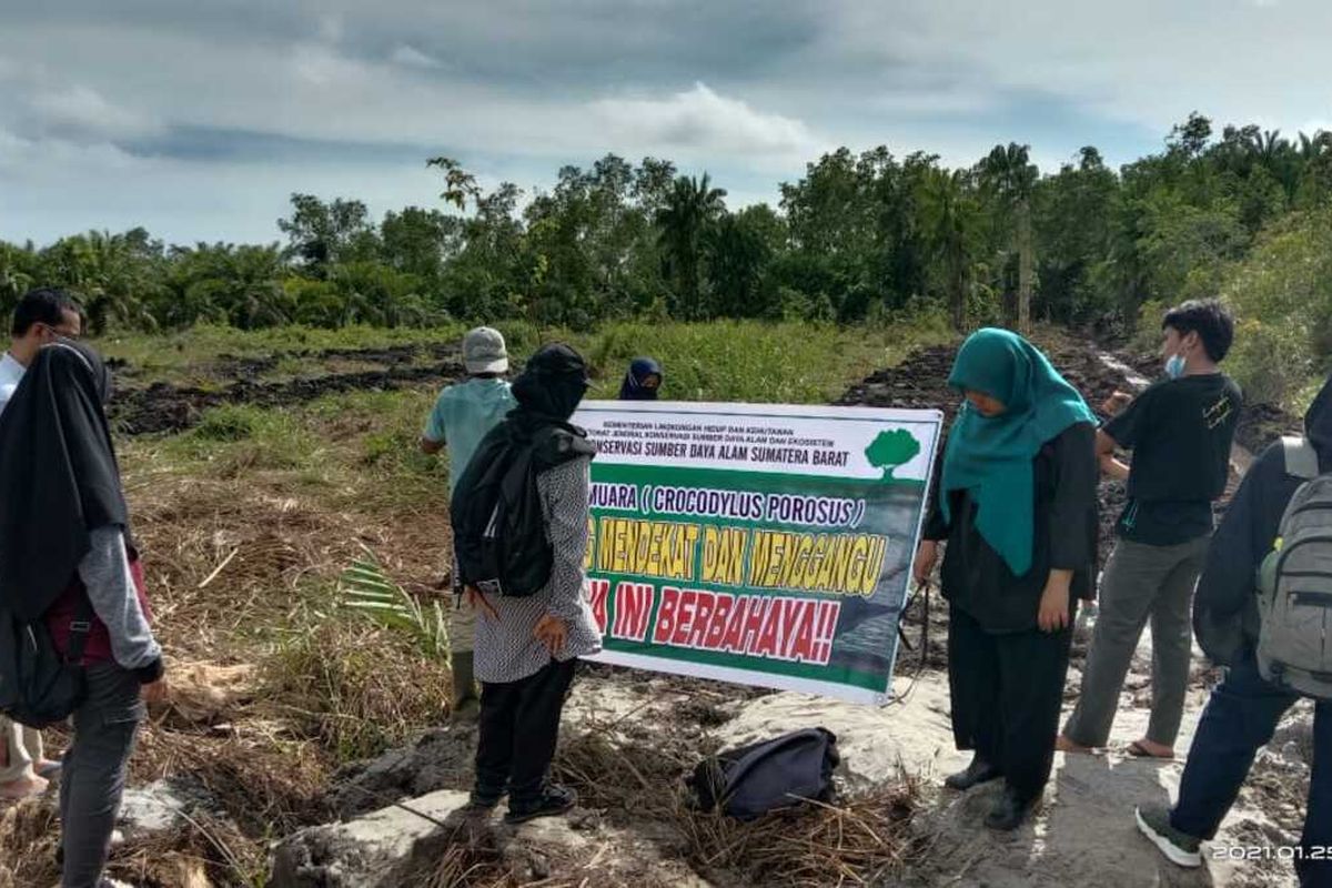 BKSDA Agam membuat papan peringatan agar warga menjauh dari lokasi buaya bertelur di Agam, Sumbar