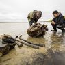 Kerangka Tulang Mammoth Berbulu Ditemukan di Siberia Utara