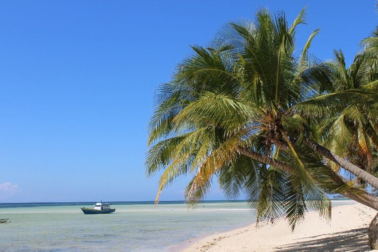 Dedaunan pohon kelapa yang menjulur ke bibir pantai turut merenda pesona wisata Pantai Walakiri, Rabu (12/8/2020). 