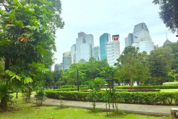 Taman GBK, lokasi alternatif buat piknik selain Hutan Kota GBK, Jakarta Pusat