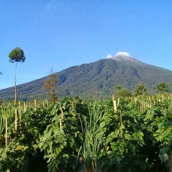 Lansekap Gunung Slamet dilihat dari Pos Pendakian Bambangan, Desa Kutabawa, Kecamatan Karangreja, Purbalingga, Jawa Tengah, Rabu (23/12/2020).