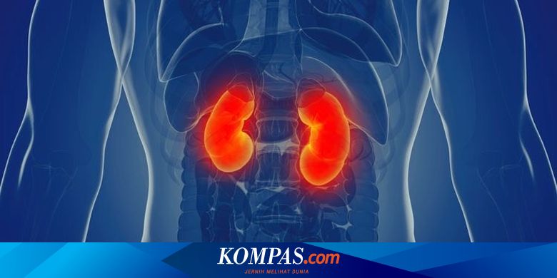 Komnas HAM Minta Keterangan Dua Saksi Ahli Terkait Kasus Gagal Ginjal Akut