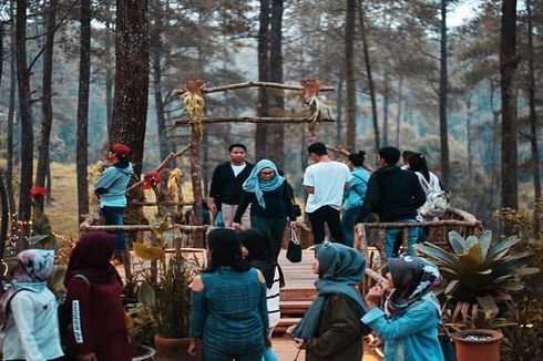 Ini Daya Tarik Orchid Forest Cikole yang Buat Menpar akan Datang