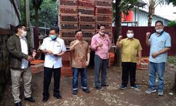 Bekerja Sama dengan Swasta, Kementan Serap Kelebihan Stok Ayam Akibat Dampak Covid-19