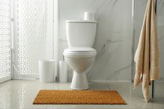4 Cara Mudah Mengatasi WC Mampet 
