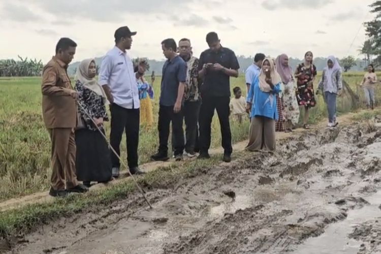 Pemkab Tidak Punya Anggaran, Andra Soni Ambil Alih Perbaikan Jalan Rusak yang Viral