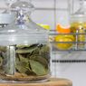 Cara Menyimpan Daun Herbal agar Tetap Segar dan Tahan Lama