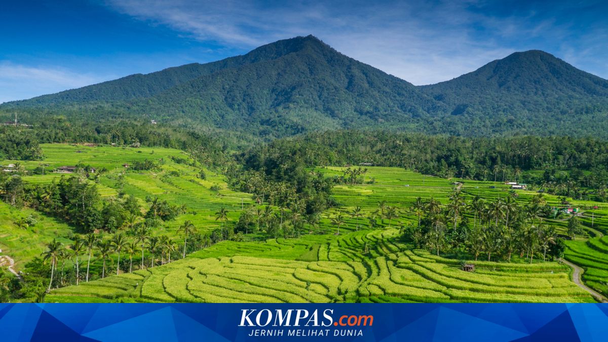 Fenomena Nominee Meningkat di Bali: Siasat WNA Kuasai Tanah dengan Cara Tak Langsung