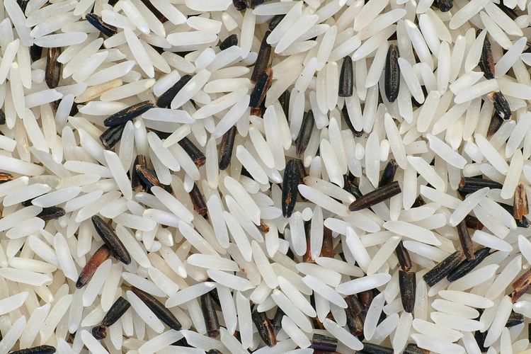 Ilustrasi beras dengan biji panjang dan ramping. 