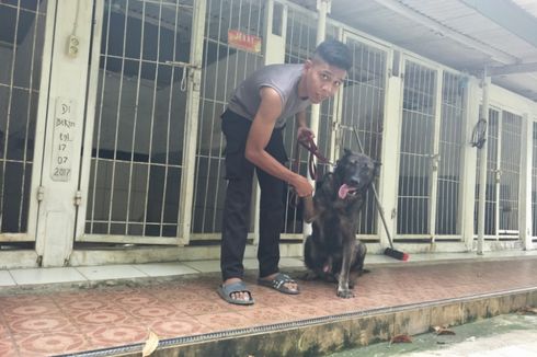 Polda Sulsel Kirim Anjing Pelacak Cari Jenazah Korban Gempa 