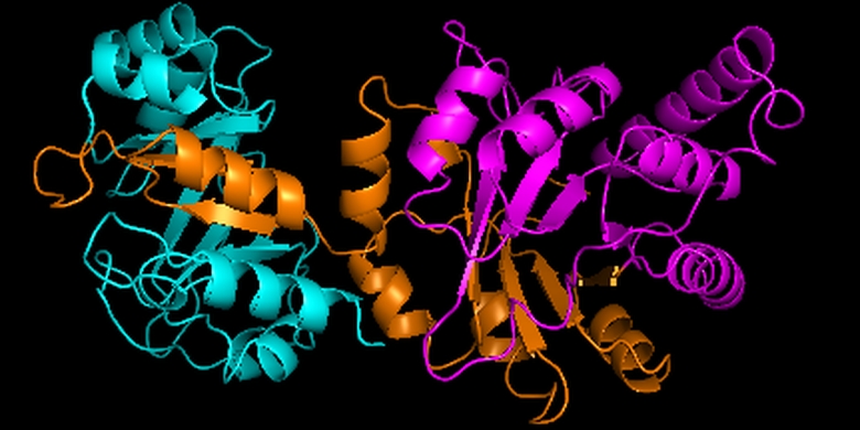 Ilustrasi fungsi enzim sebagai biosensor