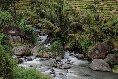 Pesona Desa Wisata Bantaragung Majalengka, Ada Sawah Terasering