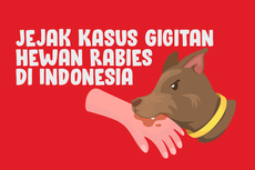 INFOGRAFIK: Jejak Kasus Gigitan Hewan Pembawa Rabies di Indonesia