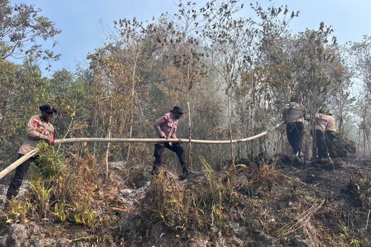 Karhutla di Biak Numfor Padam Setelah Sepekan Ditangani Tim Gabungan dan Diguyur Hujan