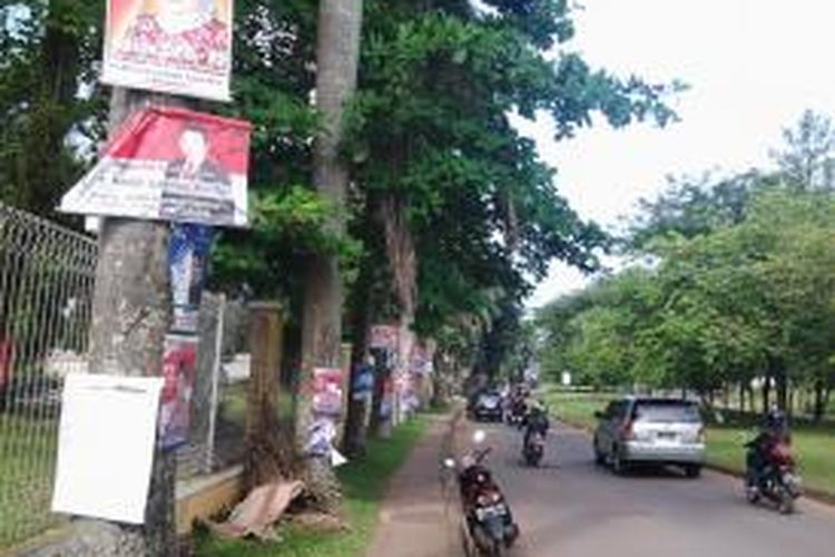 Sejumlah poster caleg tampak memenuhi pohon pinang di Jalan Lengkong, Serpong, Kota Tangerang Selatan, Senin (7/4/2014).