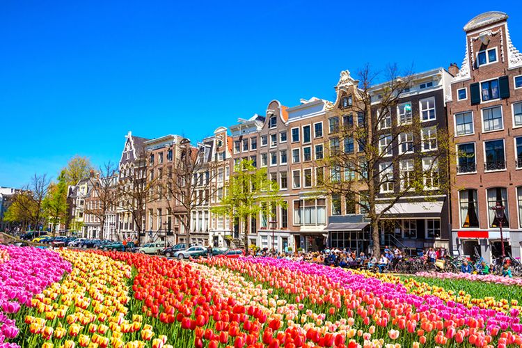 Taman Bunga Tulip di Kota Amsterdam.