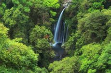 Air Terjun Tiu Kelep Lombok Utara Keindahan Alam Kaki Gunung Rinjani