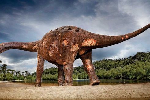 Dinosaurus Juga Alami Infeksi Tulang Akut, Peneliti Temukan Buktinya