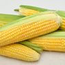 6 Manfaat Jagung untuk Kesehatan
