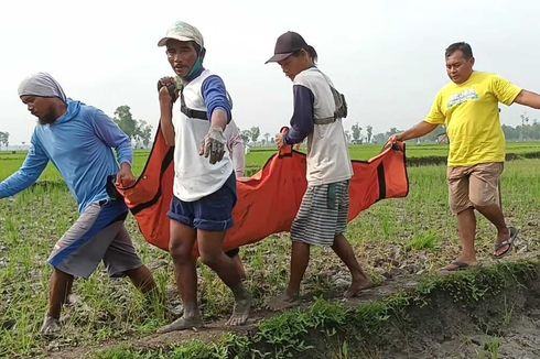 Petani di Ngawi Ditemukan Tewas Terkena Jebakan Tikus Beraliran Listrik