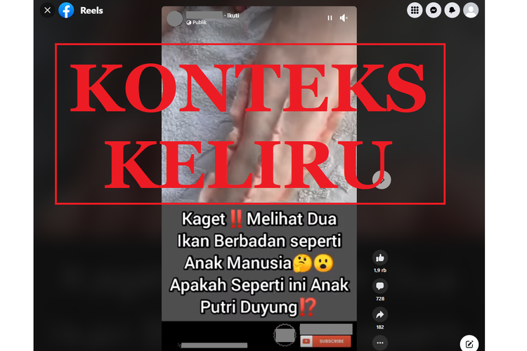 Tangkapan layar dengan konteks keliru di sebuah akun Facebook, Kamis (4/8/2022), soal video yang diklaim sebagai dua ikan berbadan manusia.