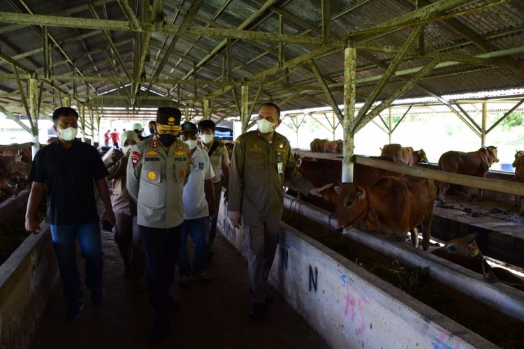 Lokasi karantina sapi di Desa Air Anyir, Bangka, Kepulauan Bangka Belitung, Sabtu (14/5/2022).